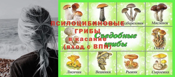 СК Балахна